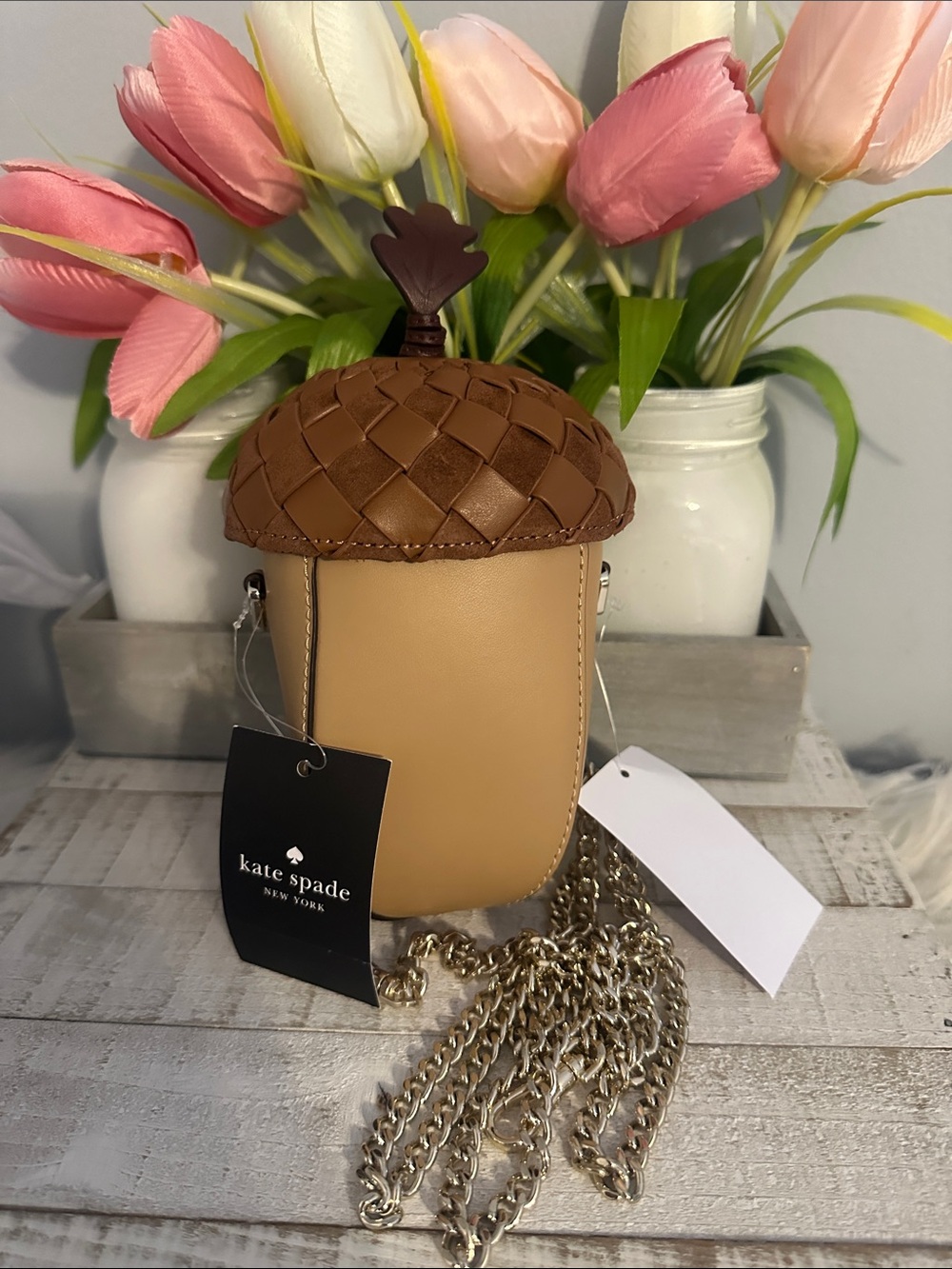 Nwt Kate spade take a hike acorn crossbody bag